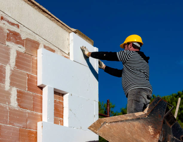 Best Local Insulation Services  in Richnd Heights, MO