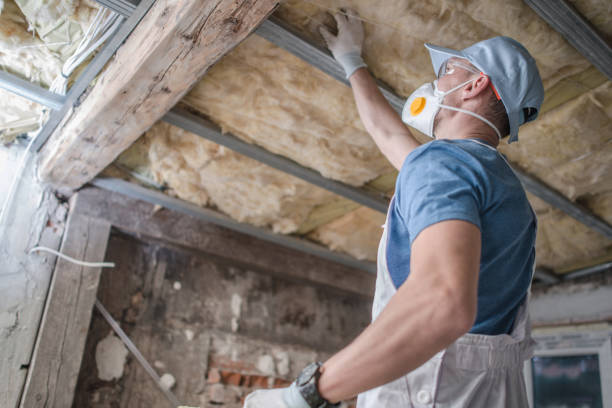 Best Energy-efficient Insulation  in Richnd Heights, MO