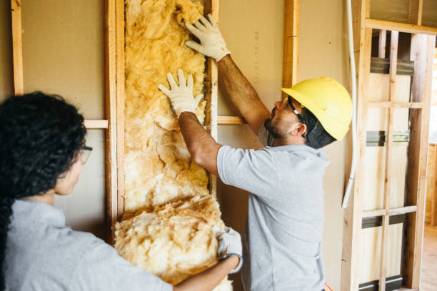 Best Affordable Insulation Services  in Richnd Heights, MO