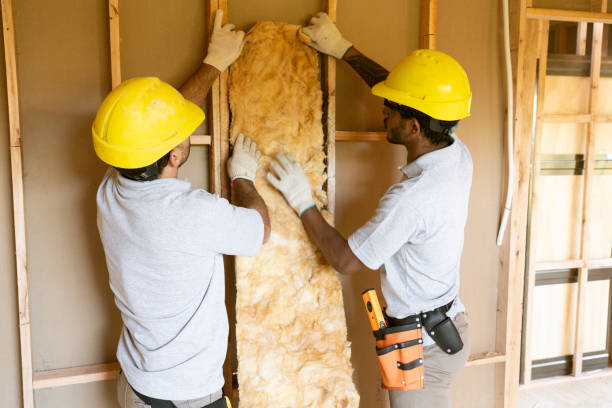 Best Cellulose Insulation  in Richnd Heights, MO
